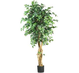   Natural 6 Feet Palace Style Ficus Artificial Silk Tree Plant  