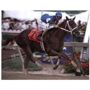  Smarty Jones 2004 Preakness Stakes #692 by Unknown 10x8 
