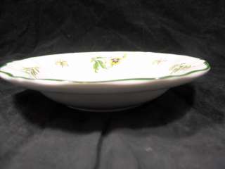   France/French Hand Painted Bird/Floral Cereal/Soup Bowl Dish  