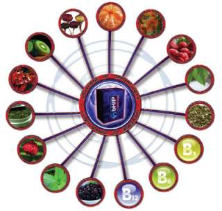 bHIP Blue Energy Blend / Dietary Supplement Samples  