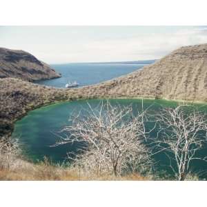 , Tagus Cove, Isabella (Isla Isabela), Galapagos Islands, Ecuador 