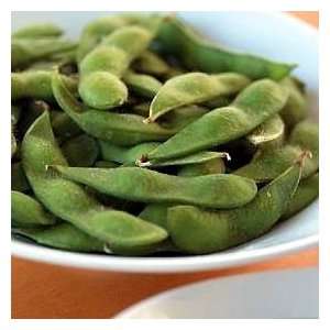  Edible Soy Bean Elena 400 Seeds   Pest & Disease Free 