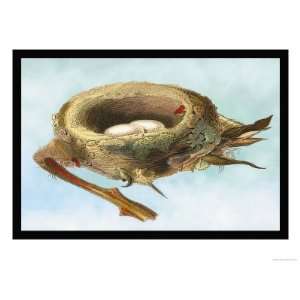  Nest with Eggs Giclee Poster Print by Sir William Jardine 