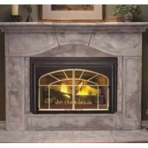   Vent Fireplace Insert Natural Gas Remote Ready Glass