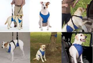 Lift & Lead Dog Harness