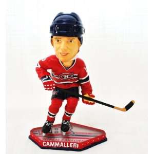   NHL approved Super Star Cammalleri #13 action 8 rink base bobblehead