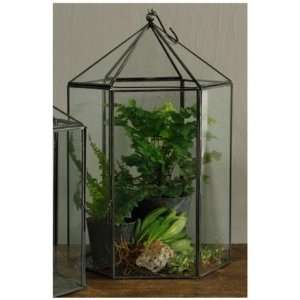  Large Hex Glass Terrarium