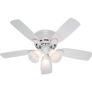 Hunter Fan 21880 Core Ceiling Fans 42 Inch White with 5 White Bleached 