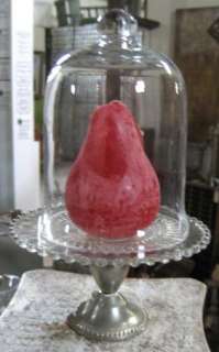 CUPCAKE Glass Cloche~Bell Jar Dome~Cake Plant DISPLAY  