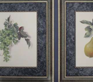 Square Fruit Pear Grape Wallpaper Border Prepasted NEW  