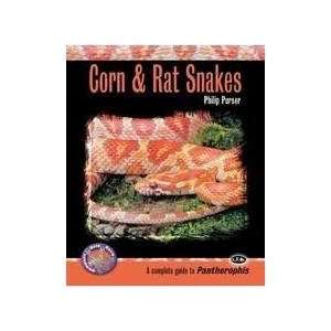  Corn & Rat Snakes A Complete Guide to Pantherophis