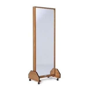   Combo Portable Posture Mirror / Weight Rack
