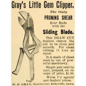 1907 Ad W H Gray Little Gem Pruning Shears Eddyville IA 
