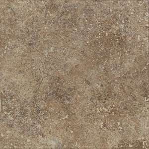  Bella Rocca 12 x 12 Floor Tile in Tuscan Brown