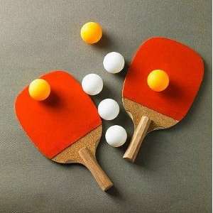  Table Tennis Gears   Peel and Stick Wall Decal by 