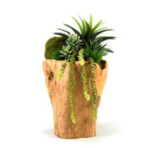   Mixed Succulents In Natural Wooden Planter Tall Patio, Lawn & Garden