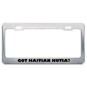  Got Haitian Hutia? Animals Pets Metal License Plate Frame 