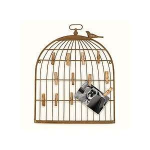  Small Alaina Bird Cage Wall Frame 